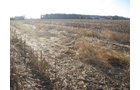 Property photo 8 - 44 Acres Offered in 3 Tracts